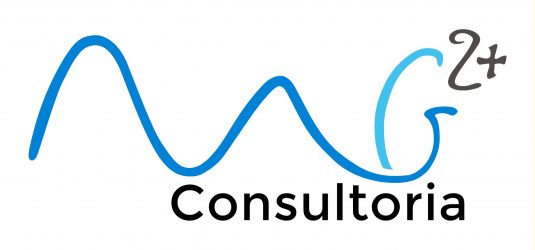 mg2+ consultoria tècnica